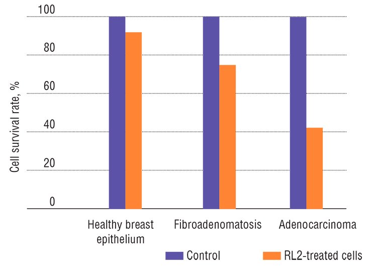RL2 protein, a genetically engineered analog of lactaptin, has almost no cytotoxic effect on the healthy cells of breast epithelium but initiates apoptosis of the damaged cells once a pathological process develops. In the case of benign fibroadenomatosis, this protein considerably decreases the survival rate of pathological cells and halves the survival rate of cancer cells in adenocarcinoma, a malignant tumor