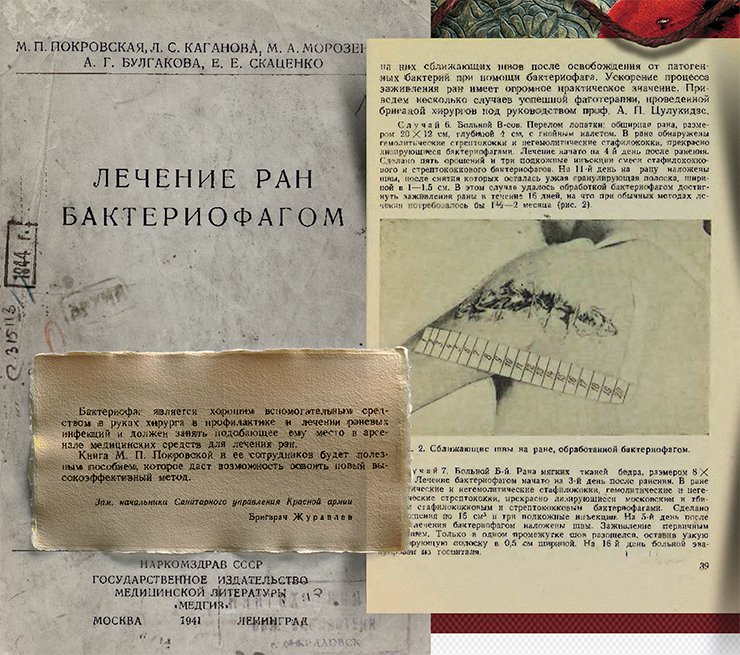 This unique publication summarizes the experience in the use of bacteriophages to treat wounds and purulent infections in the military field conditions during the Russian–Finnish war of 1939–1940. Photo: the title page, the preface and an illustration from the book Treatment of Wounds with Bacteriophage, Moscow: USSR People’s Commissariat of Public Health (Narkomzdrav), 1941