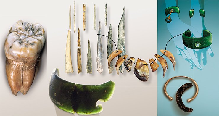 Left: a most rare find of Denisova Cave – a tooth of one of the first Asian Homo sapiens. On right: These unique artifacts of the Upper Paleolithic culture (a necklace, needles and a bracelet) testify that in Altai the Upper Paleolithic began earlier than in Europe