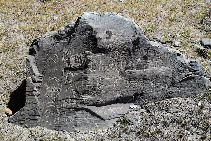 Stone with petroglyphs at the Akshow site. Ibex hunting scenes. The figures include horsemen, unmounted archers, dogs, wolves, and ibexes; the images were created in different styles. Zanskar, 2019