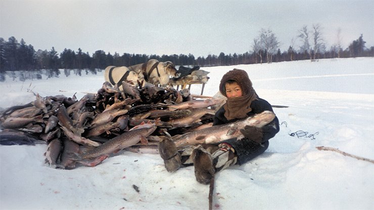 Winter fishing. A boy with a pike. The Niby-Yakha camp