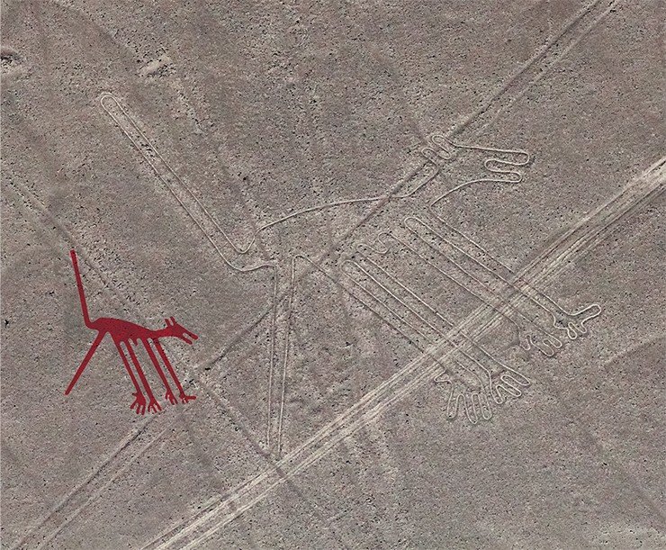 Кажется, что фигуру собаки древние создали с помощью гигантского графопостроителя – удивительная параллельность линий! При этом она совсем не похожа на современного четвероногого жителя окраины Наски. Фото Д. Семенова