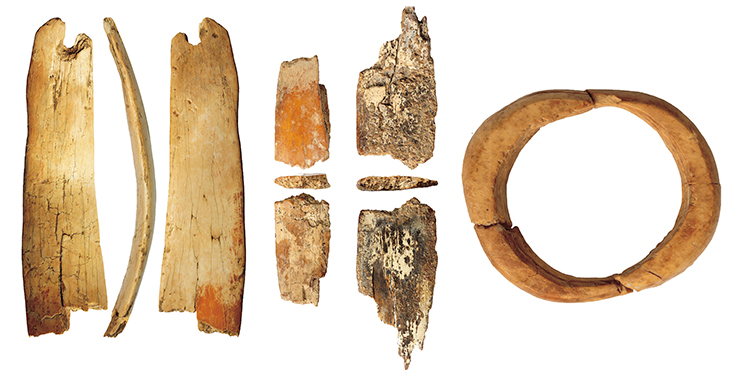 Украшения из бивня мамонта, относящиеся к раннему этапу верхнего палеолита, обнаруженные в 11-м слое южной галереи Денисовой пещеры: фрагменты диадемы (слева)и кольцо (справа). Фото А. Федорченко