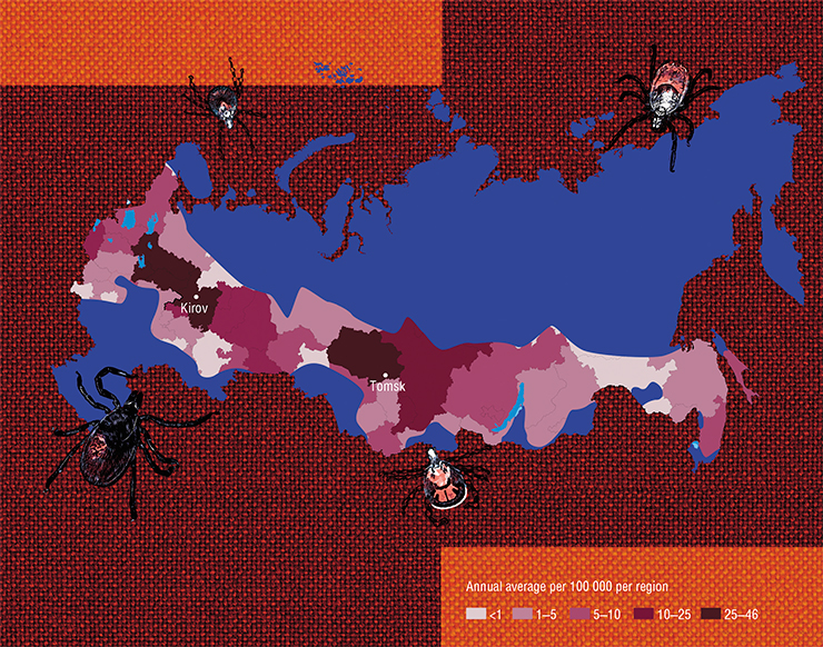 According to data from 1997-2010, tick-borne borreliosis is reported from 73 out of 85 regions of Russia. The highest risk of infection is reported from the basin of the Kama river, in the western Urals piedmont, and in the south of West Siberia (Medico-geographical atlas of Russia Natural focal infections, 2015, mod.)