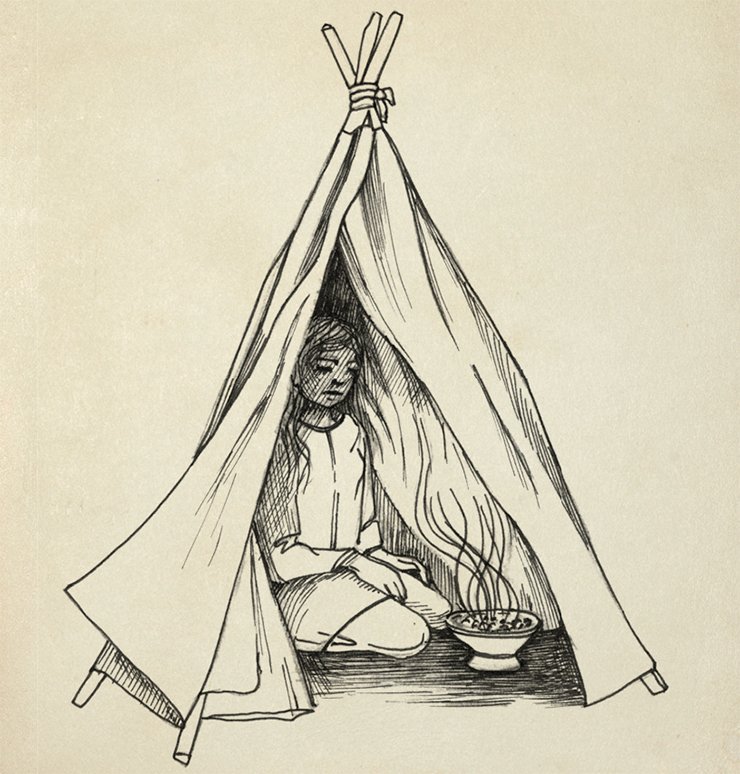 Archaeological materials make it possible to reconstruct the ancient cannabis burning process which, according to Herodotus, was performed in Scythian baths. The tent was made of woolen felt pulled on a wooden tripod, and cannabis was placed into a bronze incense burner together with hot stones. During the cannabis smoldering there emerged vapors which contained toxic metal-organic components. Drawing by E. Shumakova
