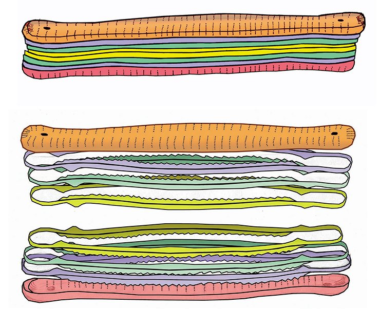 The diatom frustule consists of two overlapping valves connected by a system of griddle bands