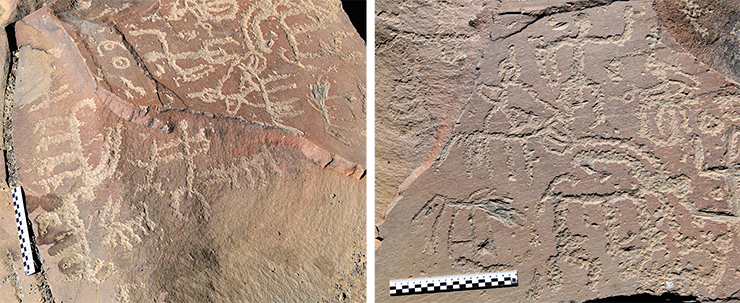 The most ancient images include drawings in the so-called linear style. Simple techniques were used to depict not only ibexes (although they prevail) but also other animals: horses, dogs, wolves. Ibex hunting scenes created in a linear style. Solar symbols appear on the same surface. Akshow, Zanskar, 2019
