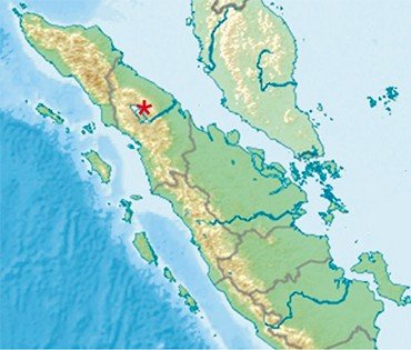 Toba Supervolcano in the north of the central part of the Sumatra Island, IndonesiaThe authors have built a detailed seismic model for the structure of the crust and mantle beneath the Toba Caldera using the seismic tomography method developed in Novosibirsk. The model helped reveal a multilevel plumbing system beneath the caldera and reconstruct the mechanism underlying the recurrent supereruptions