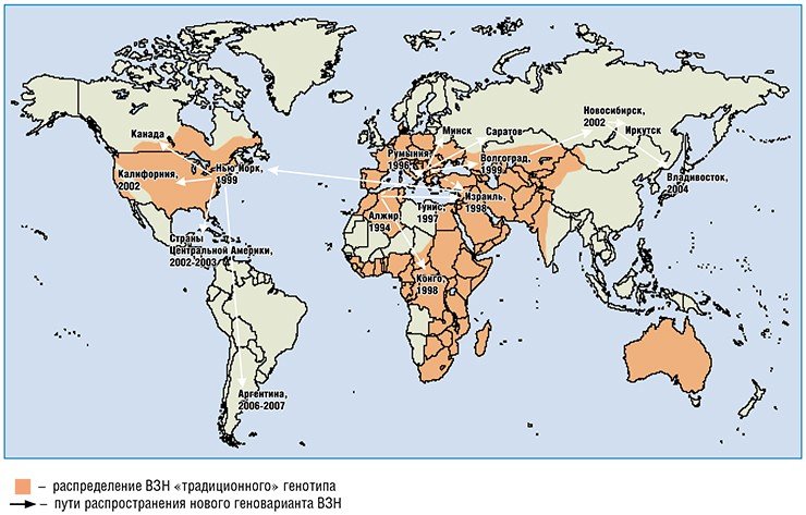 За несколько лет геновариант вируса Западного Нила, предположительно появившийся в 1994 г. в Алжире, практически совершил кругосветное путешествие, распространившись в странах Африки, Северной и Южной Америки, Европы и Азии.
