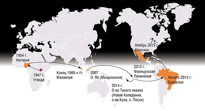 Со времени открытия вируса Зика в 1947 г. отмечались лишь эпизодические случаи заражения им людей в странах Африки и Азии, и только в 2007 г. эпидемия лихорадки Зика охватила 5 тыс. человек на островах Микронезии. По: (Musso, Gubler, 2016)