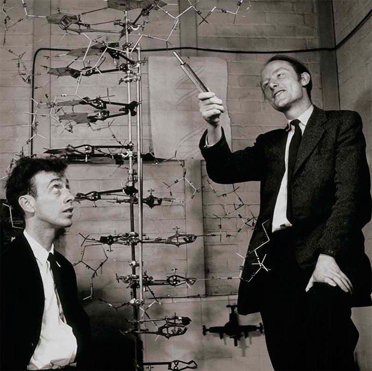Джеймс Уотсон, Фрэнсис Крик и их модель ДНК. 1953 г. Сredit: SPL/East News
