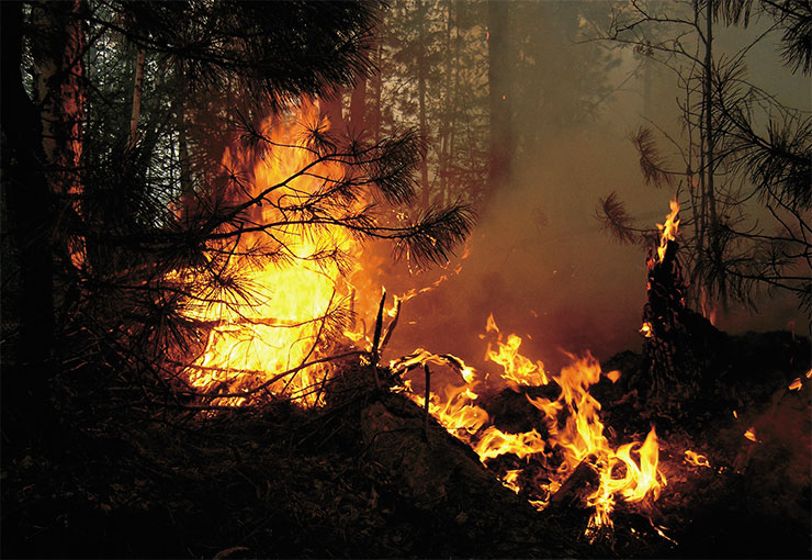 Burning forest in the Yuganskiy nature reserve. Photo by S. Krivonogov and V. Pereyaslovets
