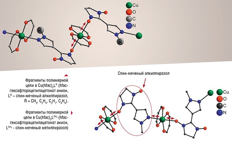 Структурная трансформация «дышащих» кристаллов характеризуется существенным изменением расстояний между ионами меди и спин-мечеными нитроксильными радикалами. Красные стрелки указывают на расстояния между носителями неспаренных электронов, изменение которых сопряжено с изменением магнитных свойств соединений (на показанных фрагментах полимерной цепи атомы водорода, CH₃ˉ и CF₃ˉ группы опущены для облегчения восприятия)