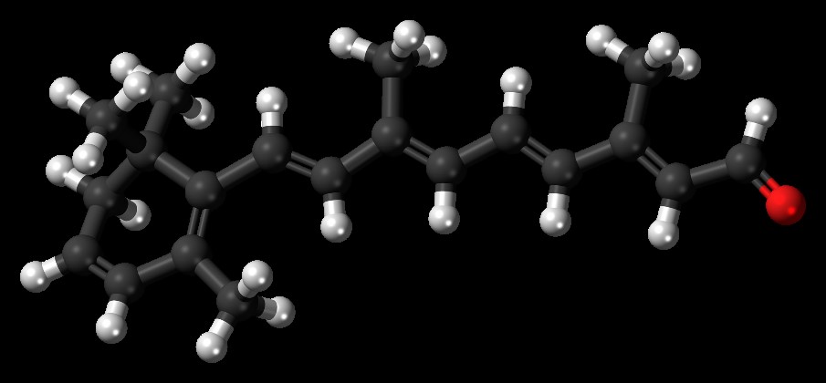 Молекула ретинола (углерод показан черным цветом, водород – белым, кислород – красным). © CC0 1.0 Universal/Jynto