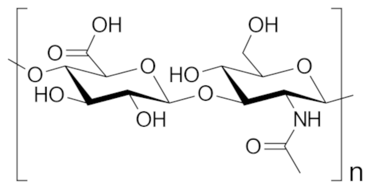 Гиалуроновая кислота представляет собой цепь с повторяющимися звеньями из дисахарида. Public Domain