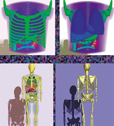 Вверху: 3D-математическая модель, описывающая распределение радиофармпрепарата в органах грудной клетки среднестатистического пациента при ПЭТ-обследовании Внизу: 3D-математический фантом для компьютерной имитации процедуры обследования пациентов методом ПЭТ
