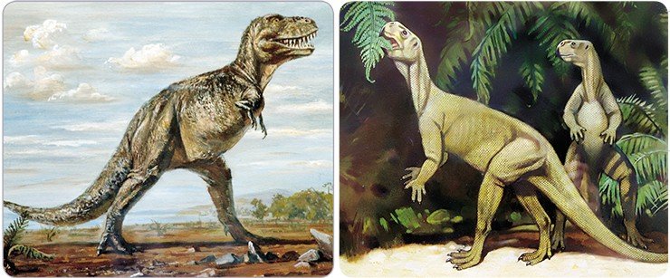 Слева: крупный хищный динозавр тарбозавр (Tarbosaurus bataar). Поздний мел, Монголия. Справа: Челюсти мелкого растительноядного динозавра пситтакозавра Psittacosaurus mongoliensis были похожи на клюв попугая. Ранний мел. Рис. из эспозиции ПИН РАН