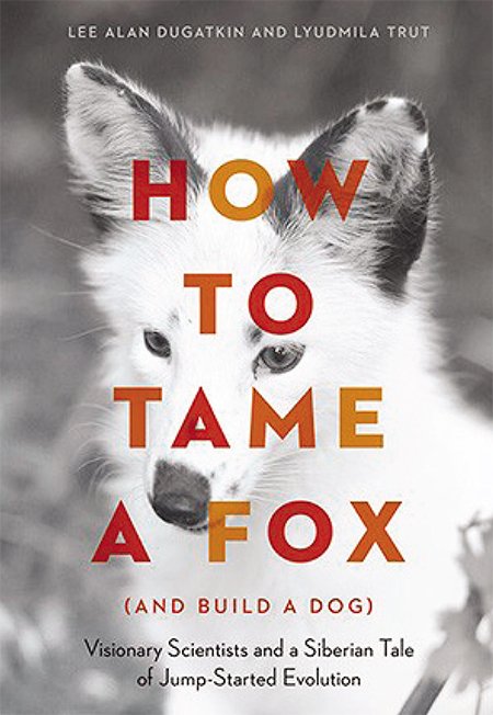 The full name of the book published in 2017 by the University of Chicago Press is eloquent and informative: How to Tame a Fox (and Build a Dog): Visionary Scientists and a Siberian Tale of Jump-Started Evolution