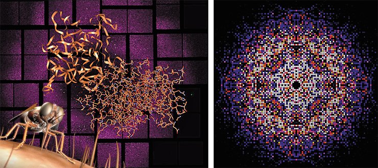 The free electron laser was used to decode the structure of the protein responsible for the African lethargy (left). Credit: Greg Stewart / SLAC National Accelerator Laboratory. The data obtained by the X-ray laser make it possible to reconstruct the three-dimensional structure of proteins and other complex organic molecules (right). Credit: Karol Nass / CFEL