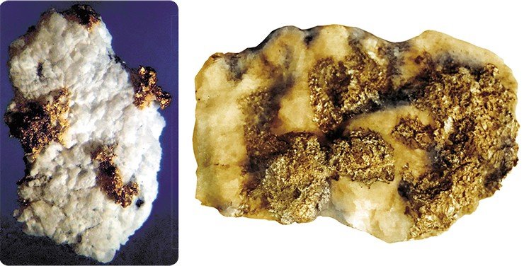 Слева: обломок жильного кварца с самородками золота весом 1—2 г каждый. Справа: гнездовое скопление небольших самородков (10—20 г каждый) в обломке кварцевой жилы