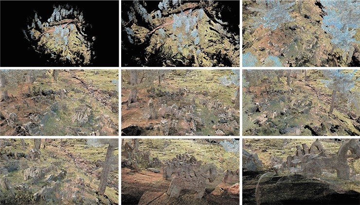 Several plane projections of a coloured 3D point cloud of an area of the Gool site obtained with the help of surface laser scanning and containing exhaustive information concerning the geometry of the objects, their spacing and micro-relief of the locality