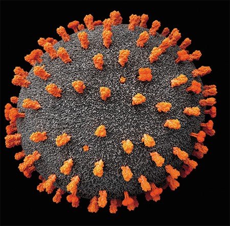 3-D модель вирусной частицы гриппа A/H1N1, на которой видны поверхностные белки гемагглютинин и нейраминидаза. Строение частицы и плотность белков на ее поверхности соответствует изображениям вируса, полученным методом криоэлектронной микроскопии. Visual Science