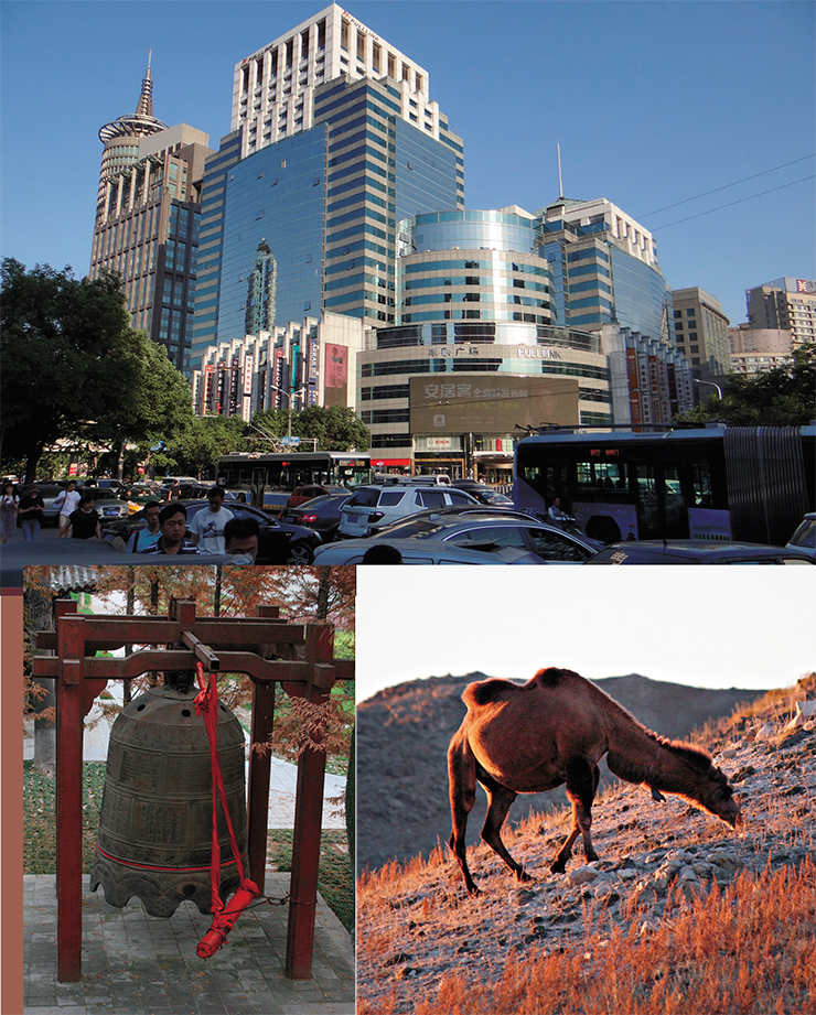 The modern days and the revived past: Chaoyang district of Beijing, with its immense business towers and streams of automobile and pedestrian traffic (top), and Xinjiang, an autonomous district in the Chinese northwest, following its own flow of time and historical path. Camels graze on rough grass on what used to be the Silk Road – the faithful carriers of the ancient caravans