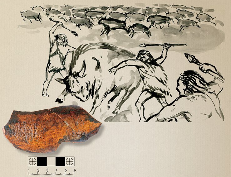 Bone retoucher was the first tool that ancient humans used to make other implements. The retoucher from Chagyrskaya Cave was made of a bison bone. Photo by A. Fedorchenko. Drawing by A. Abdul’manova