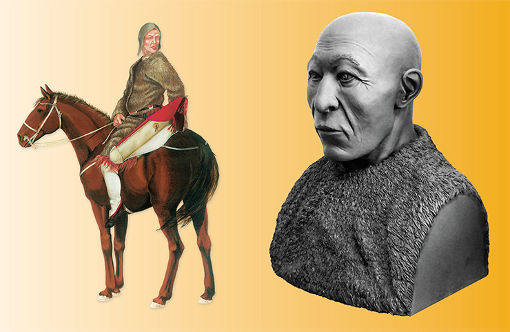 A Pazyryk horseman. Tumulus 1, Verkh-Kaldzhin-2 burial site. Reconstructed by D. Pozdniakov. The man from Tumulus 5, Ak-Alakha-5 burial site. Reconstructed by D. Pozdniakov