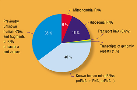Human blood contains a huge number of hormones, growth factors, extracellular nucleic acids, antibodies, and other molecules, which circulate and combine to create a highly ordered information environment. The little understood blood components include thousands of microRNA molecules, capable of controlling the activity of genes. Left: RNA sequences of different origin and with different functions, circulating in human blood; estimated by mass parallel sequencing of blood plasma samples from healthy and sick people. Adapted from: (Rykova, Zaporozhchenko, and Laktionov, 2012) 