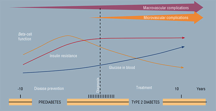 Progression of type 2 diabetes is accompanied by hyperglycemia, lowered production of insulin and increased cell resistance to this hormone. Based on: (DeFronzo, 2004)