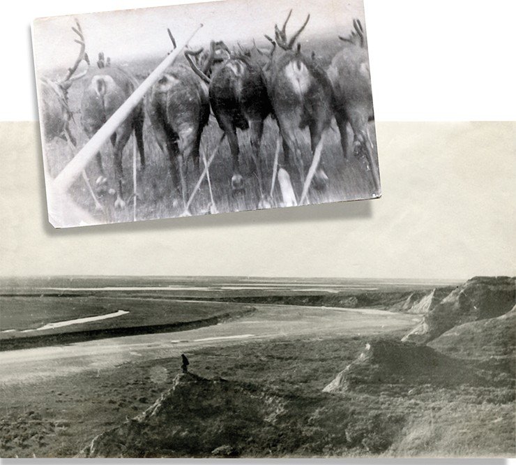 Вверху: летом на оленях (снимок сделан с нарт). Внизу: на холмах Сопкей. Внизу течет р. Щучья