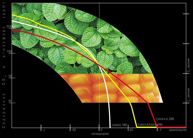 С использованием системных моделей Земли разной сложности можно получить различные результаты относительно динамики содержания углекислого газа в атмосфере, однако в них есть и общее: содержание этого столь необходимого для фотосинтеза соединения с течением времени будет неуклонно снижаться. На белом участке графика показан интервал концентрации диокида углерода, в котором производство биомассы возможно, в заштрихованной части – только растениями типа С₄