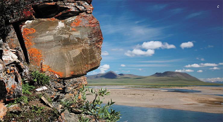 The beauty of ancient rock images at the Pegtymel River in Chukotka was revealed to fascinated viewers by a modern restoration technique of making backup copies. Researchers made a silicone matrix of the stone surface, which was covered with a washable protective compound. The matrix was used to make a copy in volume and colors. The quality of the copy is such that even experienced professionals are not always able to “find 10 differences.” Top right: a restorer making a silicone matrix; (a) and (b) acrylic-tinted three-dimensional polyurethane copies; (c) Pegtymel petroglyphs. E. Girya and E. Devlet © IA RAS