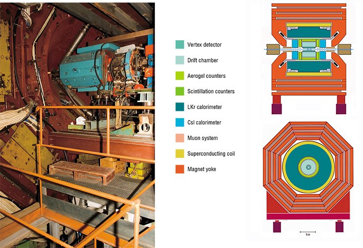 Detector in the operating (closed) condition and during assembly/disassembly