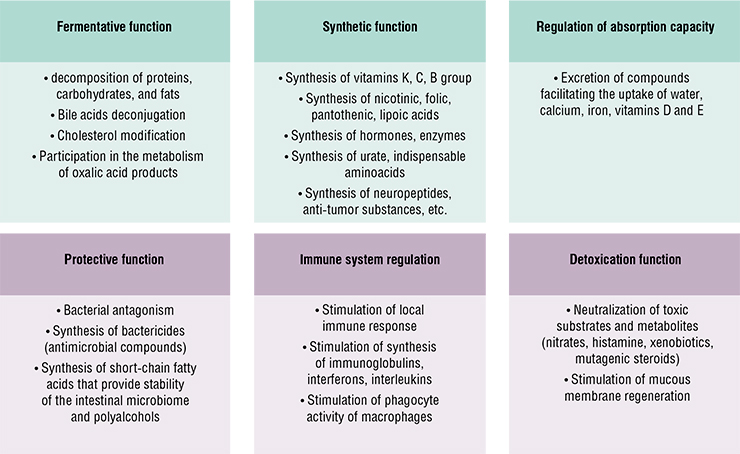 The range of functions of the normal intestinal microbiome is extremely broad – that is why it is sometimes treated as a separate human organ. Compounds produced by microorganisms take an active part in nearly all metabolic processes in the human body. Based on: (Polunina, 2018)