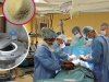 Лекарства будущего: сибирские ученые создали полифункциональный препарат, который позволит решить серьезные проблемы в кардиохирургии