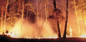 Лесные пожары как геохимическая угроза
