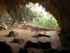 ДНК древних людей можно выделить из осадочных пород пещер