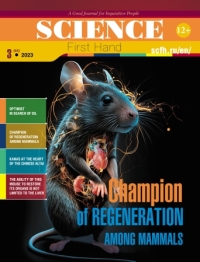 Champion of Regeneration among Mammals