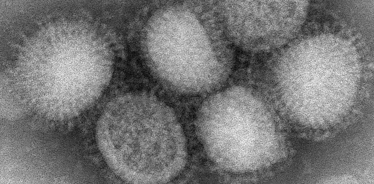 Ученые придумали «крышку» на гемагглютинин – «абордажный крюк» вируса гриппа