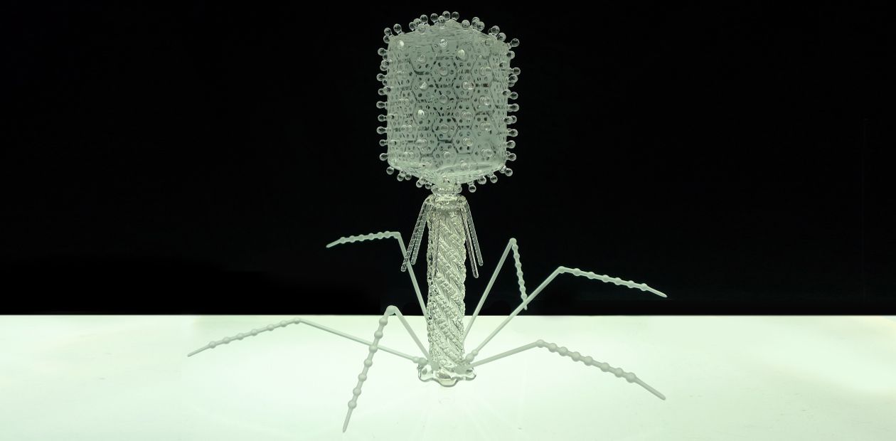 Военно-полевая почта бактериофагов - вирусов-убийц бактерий