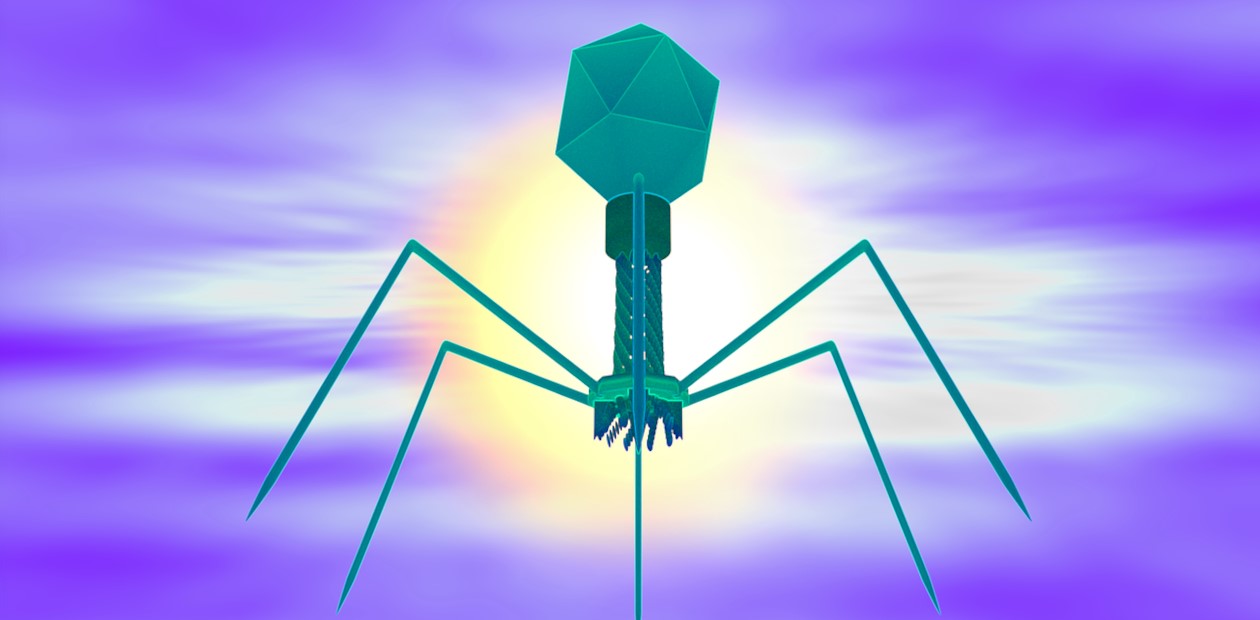 Генно-инженерные бактериофаги – антибактериальное оружие будущего