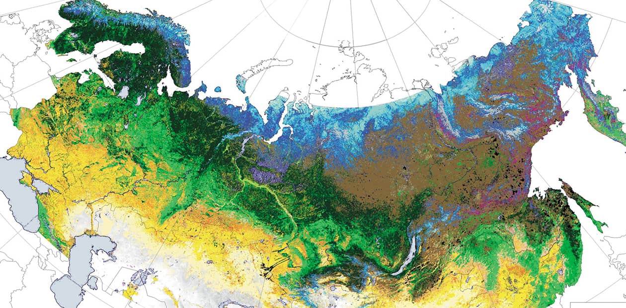 В России появилась цифровая карта лесов!