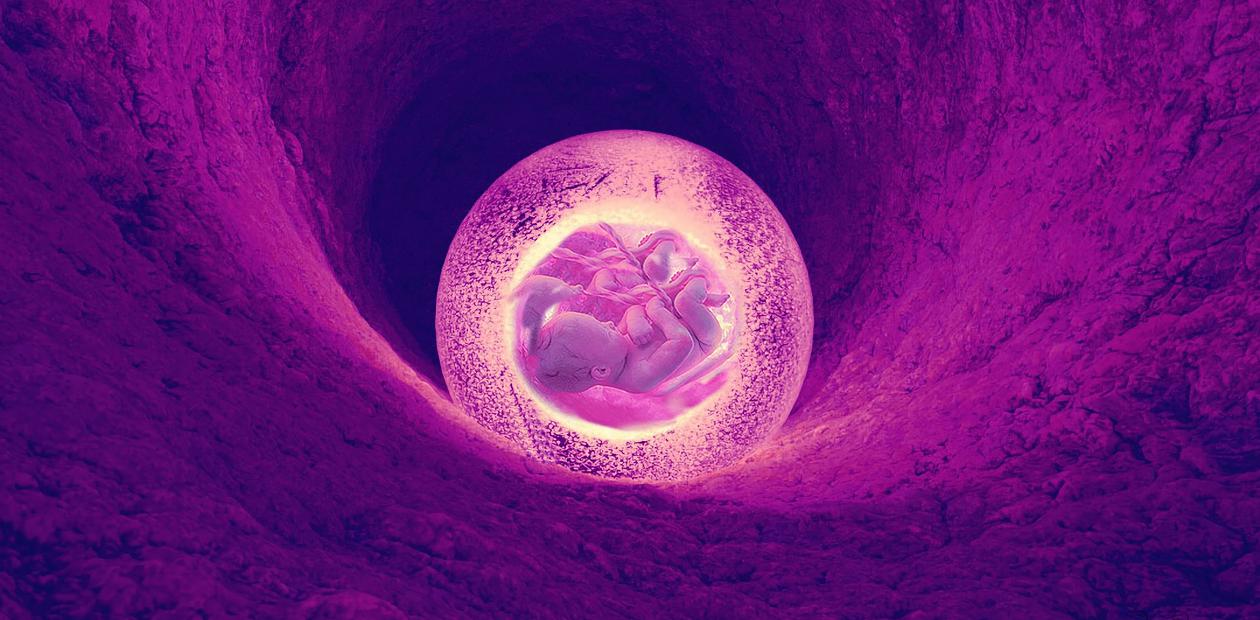 Новости ЭКО: хромосомные аномалии – не повод для выбраковки эмбриона
