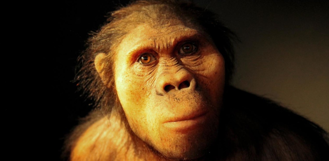 Австралопитеки: высокий мужчина и очень маленькая женщина