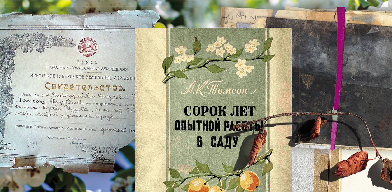 Иркутский Мичурин, или «Cад мечты» Августа Томсона 