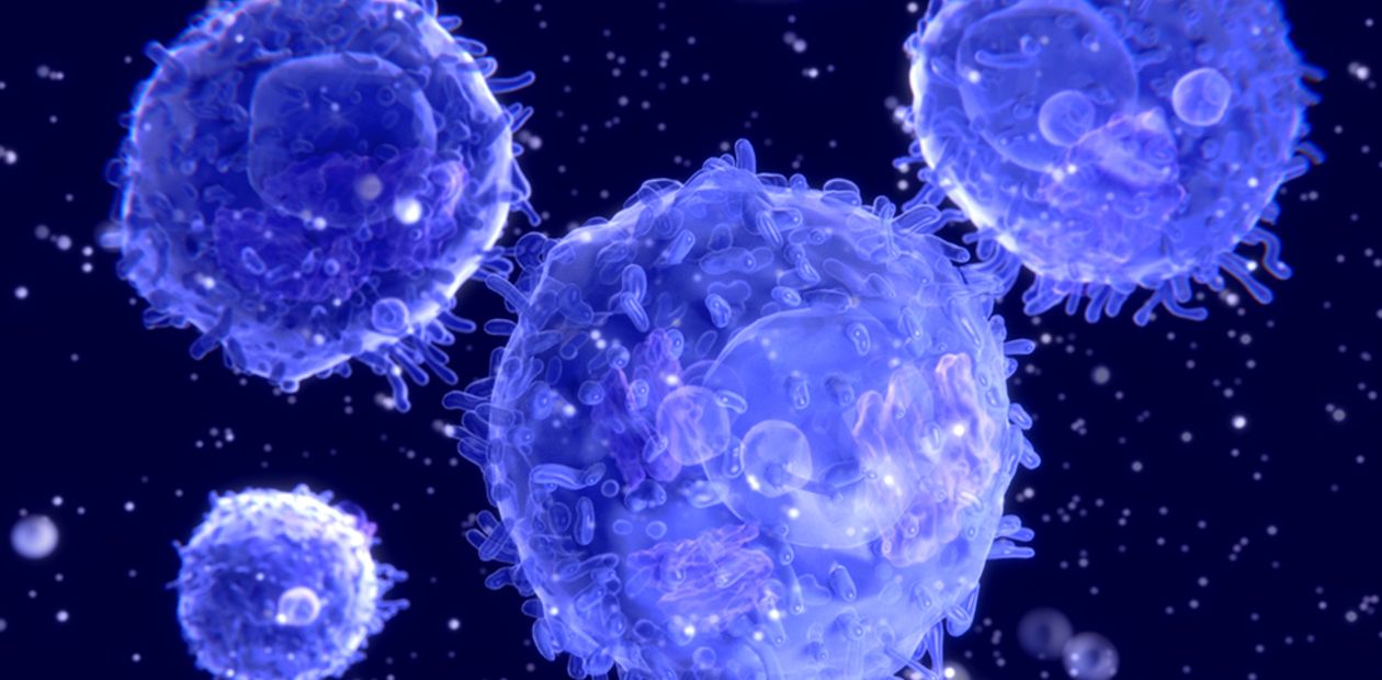 Обнаружены иммунные клетки, провоцирующие аллергию