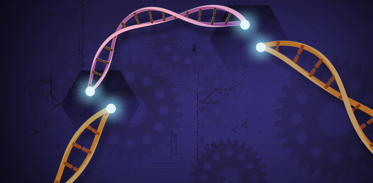 Новый вариант «редактора» генома – против болезнетворных мутаций