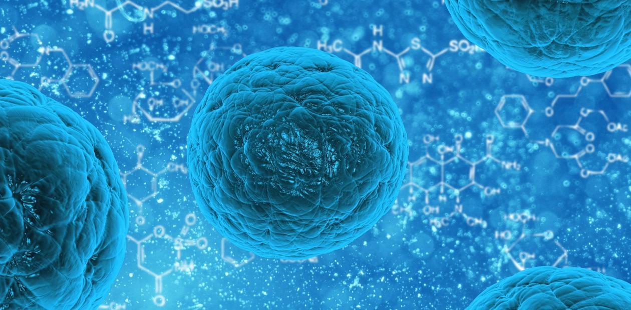Мультипотентные стволовые клетки из клеток жира – будущее регенеративной медицины?
